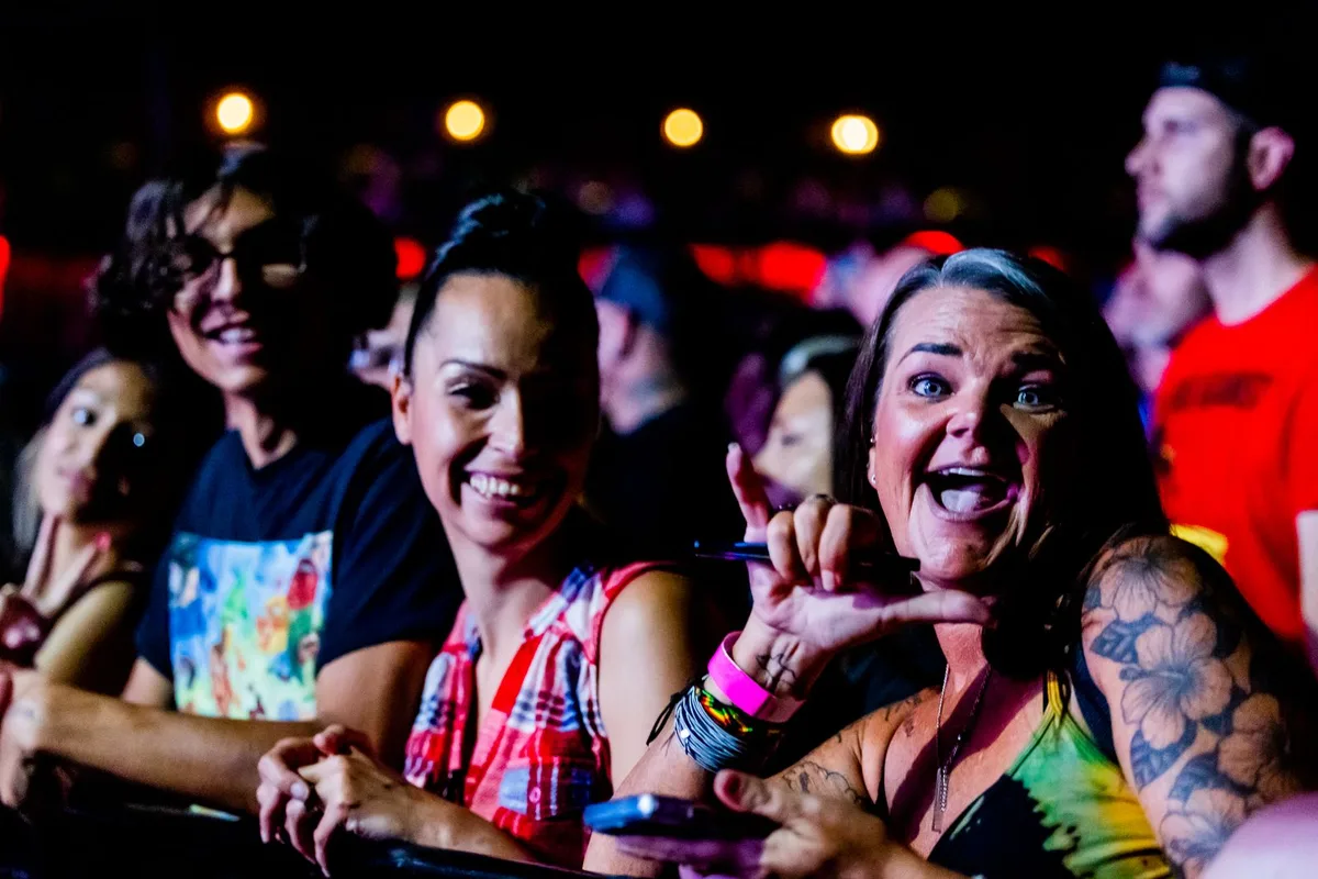 Crowd enjoying a live music concert (representative image)